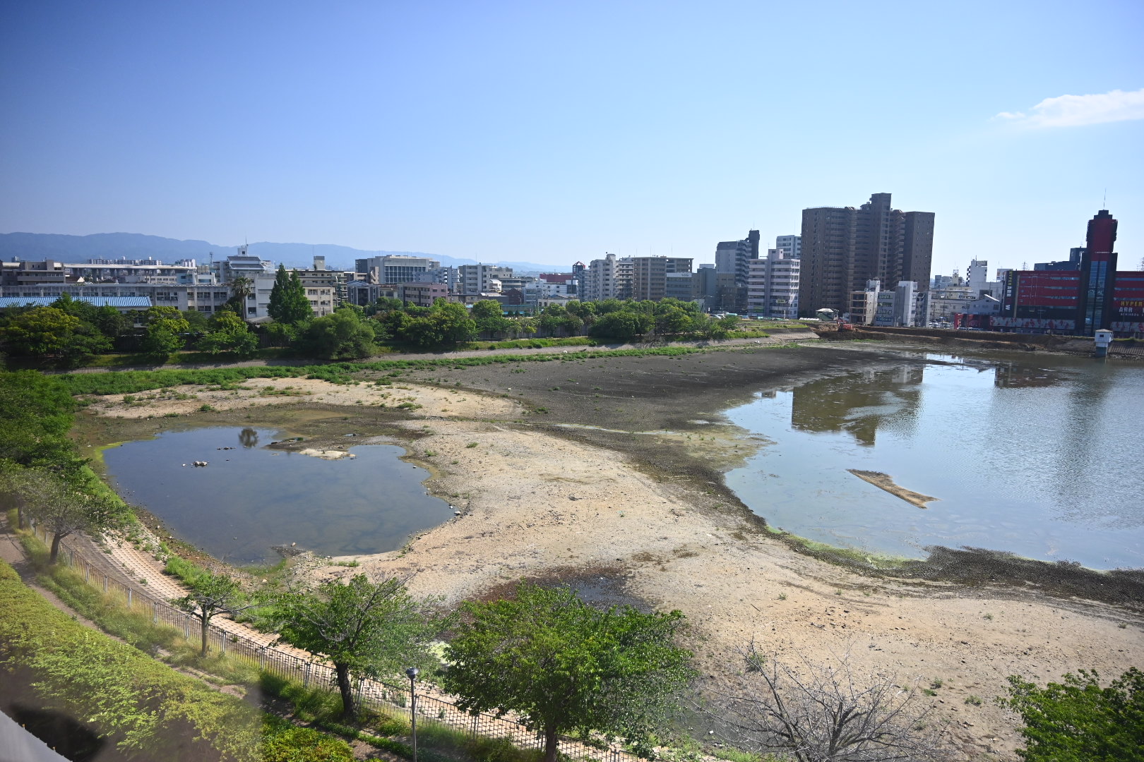堺市中区 水賀池公園（続報）水抜き進む池の現状！👒 | セルビスWEB